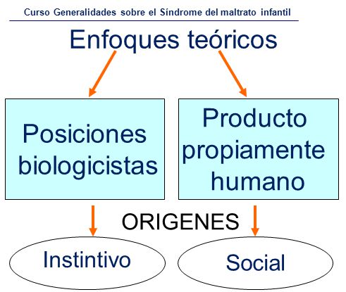 Enfoques teóricos Producto Posiciones propiamente biologicistas humano