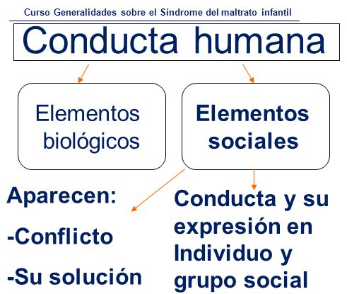 Conducta humana Elementos biológicos Elementos sociales Aparecen: