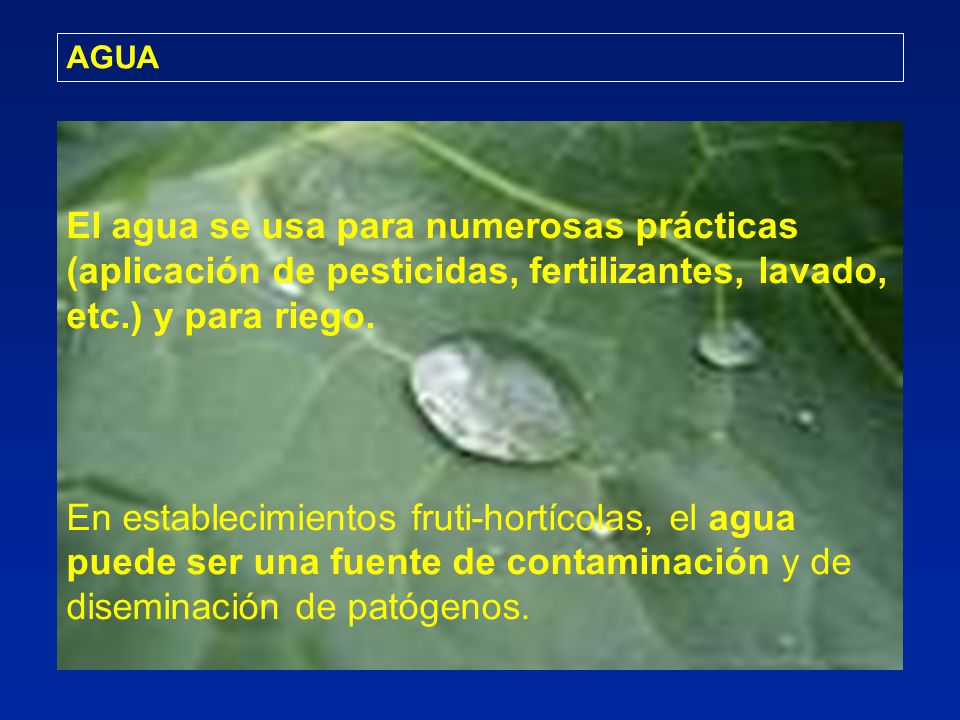 AGUA El agua se usa para numerosas prácticas (aplicación de pesticidas, fertilizantes, lavado, etc.) y para riego.
