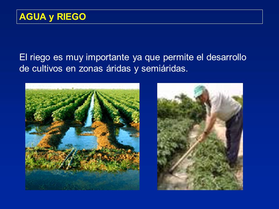 AGUA y RIEGO El riego es muy importante ya que permite el desarrollo de cultivos en zonas áridas y semiáridas.