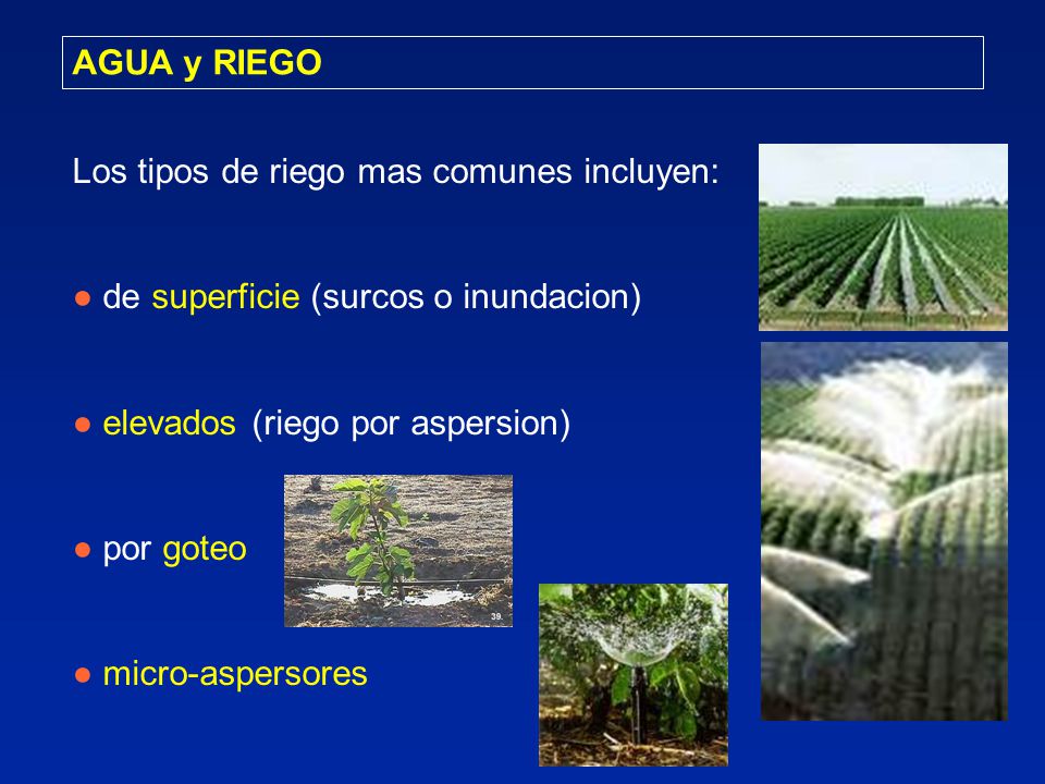 AGUA y RIEGO Los tipos de riego mas comunes incluyen: ● de superficie (surcos o inundacion) ● elevados (riego por aspersion)
