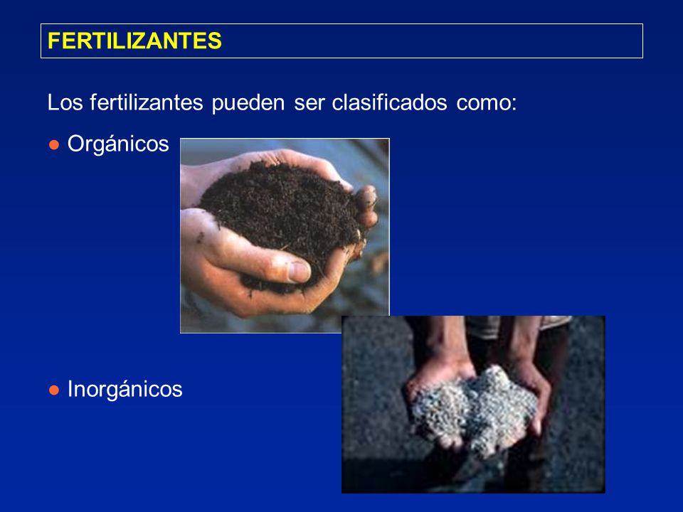 FERTILIZANTES Los fertilizantes pueden ser clasificados como: ● Orgánicos ● Inorgánicos