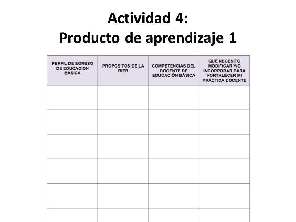 Actividad 4: Producto de aprendizaje 1