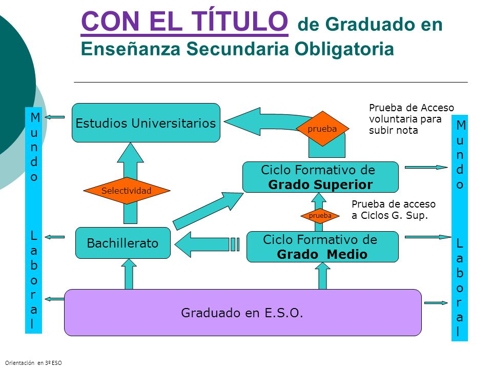 CON EL TÍTULO de Graduado en Enseñanza Secundaria Obligatoria