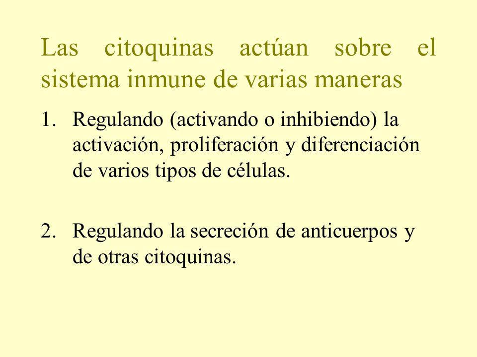 Las citoquinas actúan sobre el sistema inmune de varias maneras