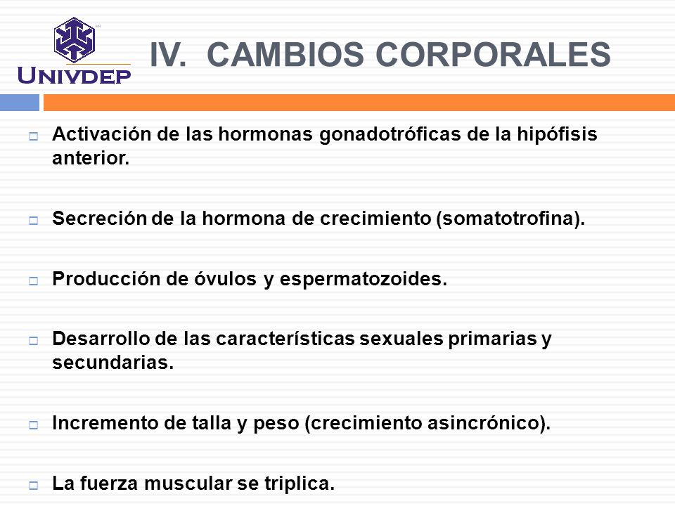 IV. CAMBIOS CORPORALES Activación de las hormonas gonadotróficas de la hipófisis anterior. Secreción de la hormona de crecimiento (somatotrofina).