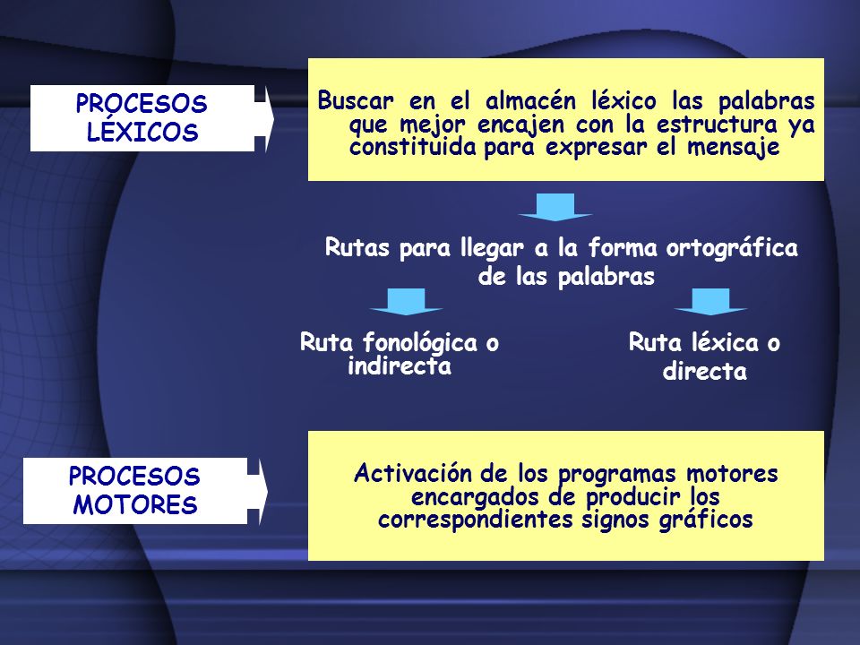 Rutas para llegar a la forma ortográfica Ruta fonológica o indirecta