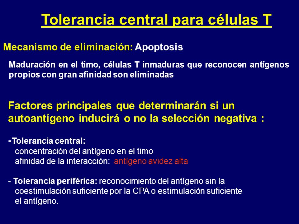 Tolerancia central para células T