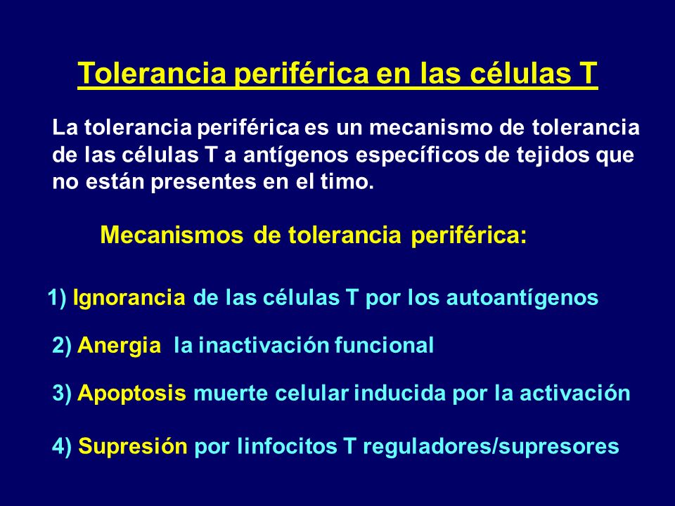 Tolerancia periférica en las células T