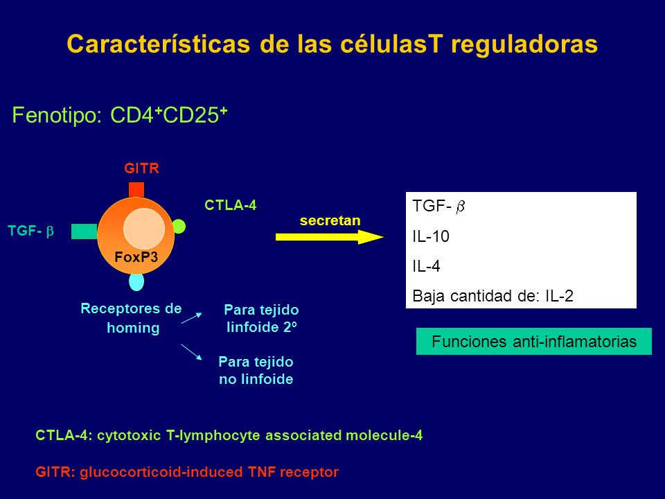 Características de las célulasT reguladoras