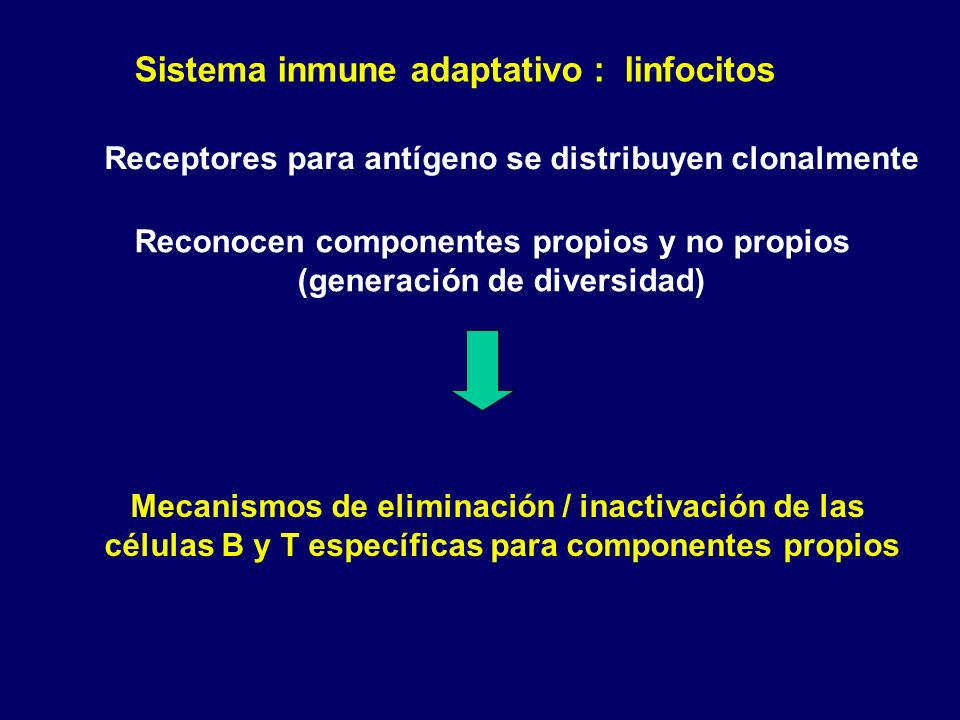 Sistema inmune adaptativo : linfocitos