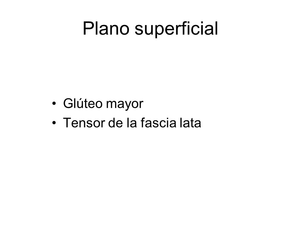 Plano superficial Glúteo mayor Tensor de la fascia lata