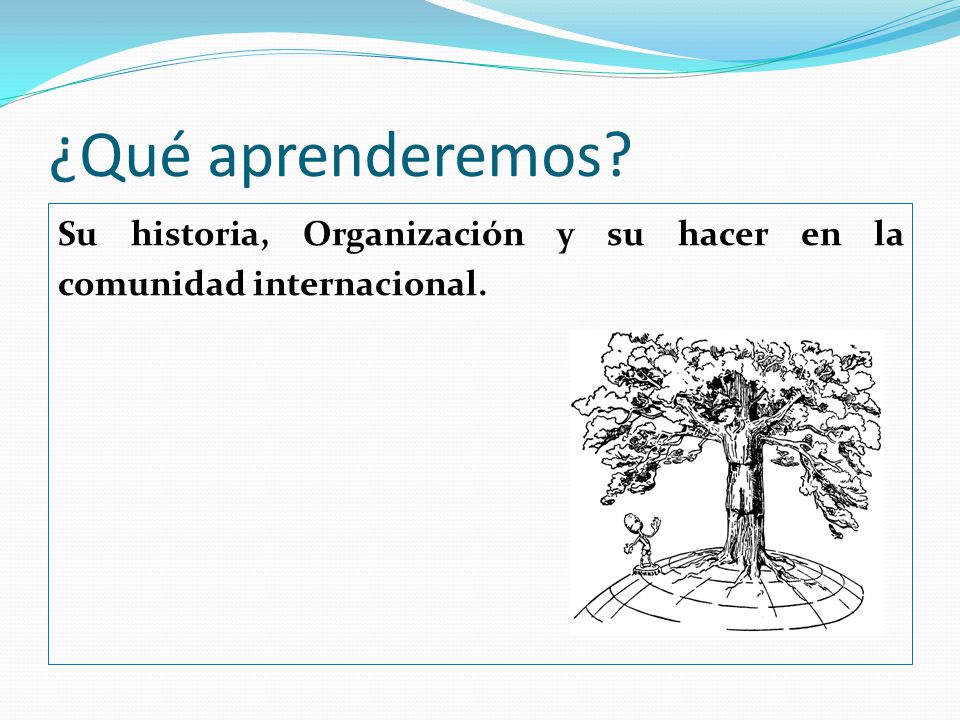 ¿Qué aprenderemos Su historia, Organización y su hacer en la comunidad internacional.