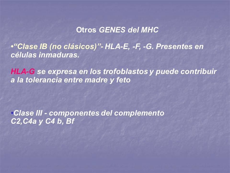 Otros GENES del MHC • Clase IB (no clásicos) - HLA-E, -F, -G. Presentes en células inmaduras.