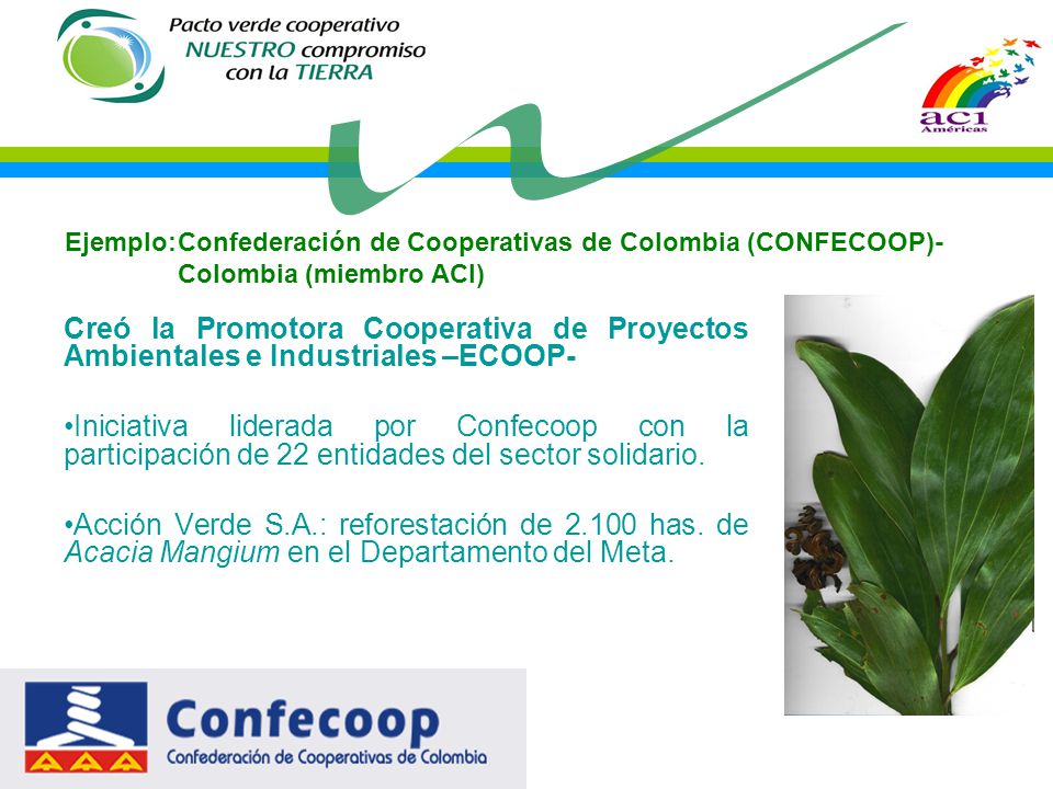 Ejemplo: Confederación de Cooperativas de Colombia (CONFECOOP)- Colombia (miembro ACI)