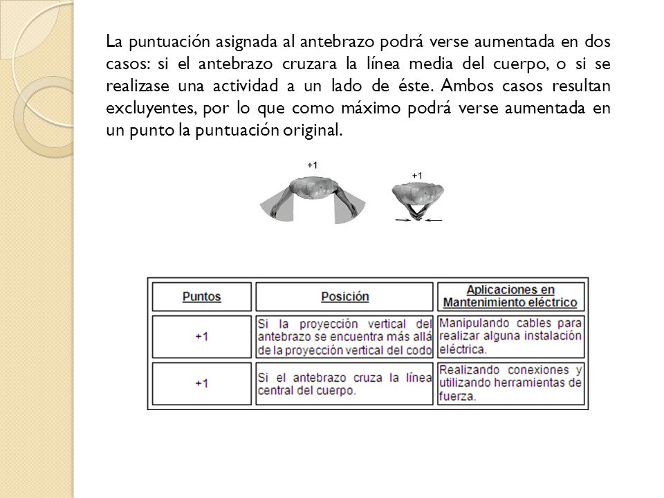 La puntuación asignada al antebrazo podrá verse aumentada en dos casos: si el antebrazo cruzara la línea media del cuerpo, o si se realizase una actividad a un lado de éste.