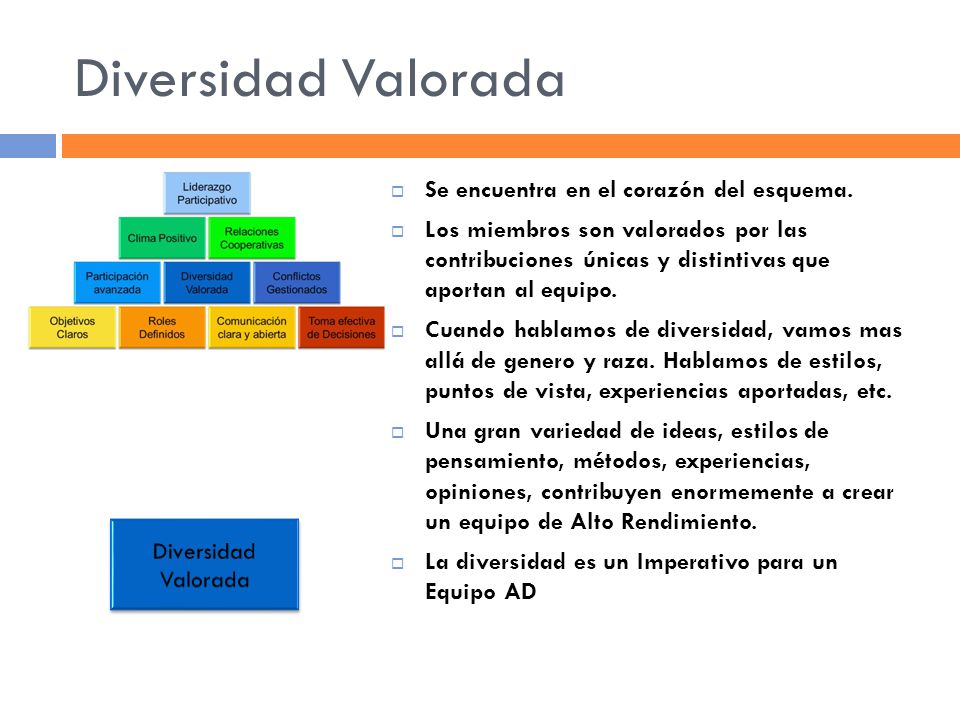 Diversidad Valorada Se encuentra en el corazón del esquema.