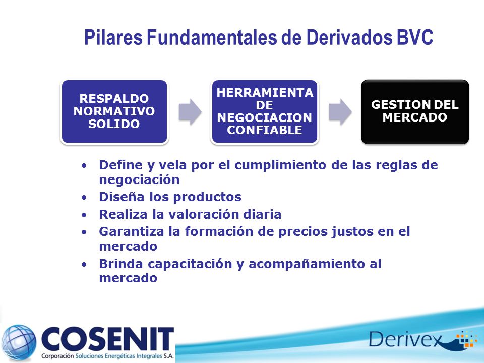 Pilares Fundamentales de Derivados BVC