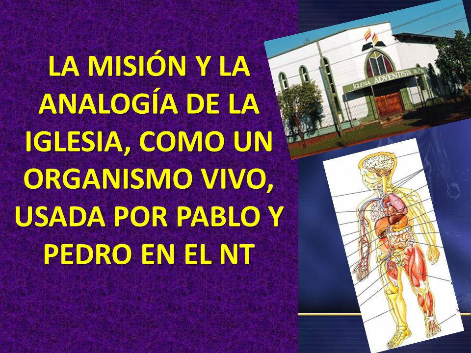 LA MISIÓN Y LA ANALOGÍA DE LA IGLESIA, COMO UN ORGANISMO VIVO, USADA POR PABLO Y PEDRO EN EL NT