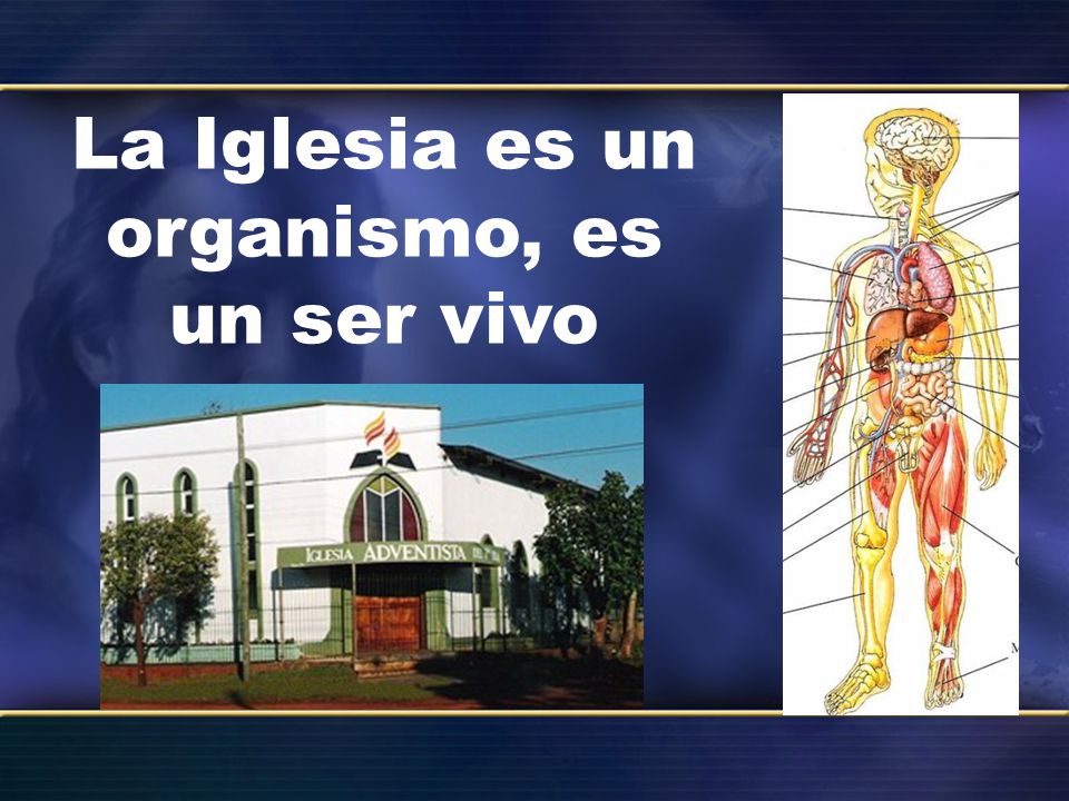 La Iglesia es un organismo, es un ser vivo