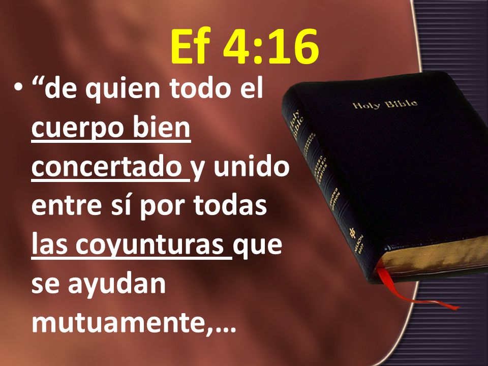 Ef 4:16 de quien todo el cuerpo bien concertado y unido entre sí por todas las coyunturas que se ayudan mutuamente,…