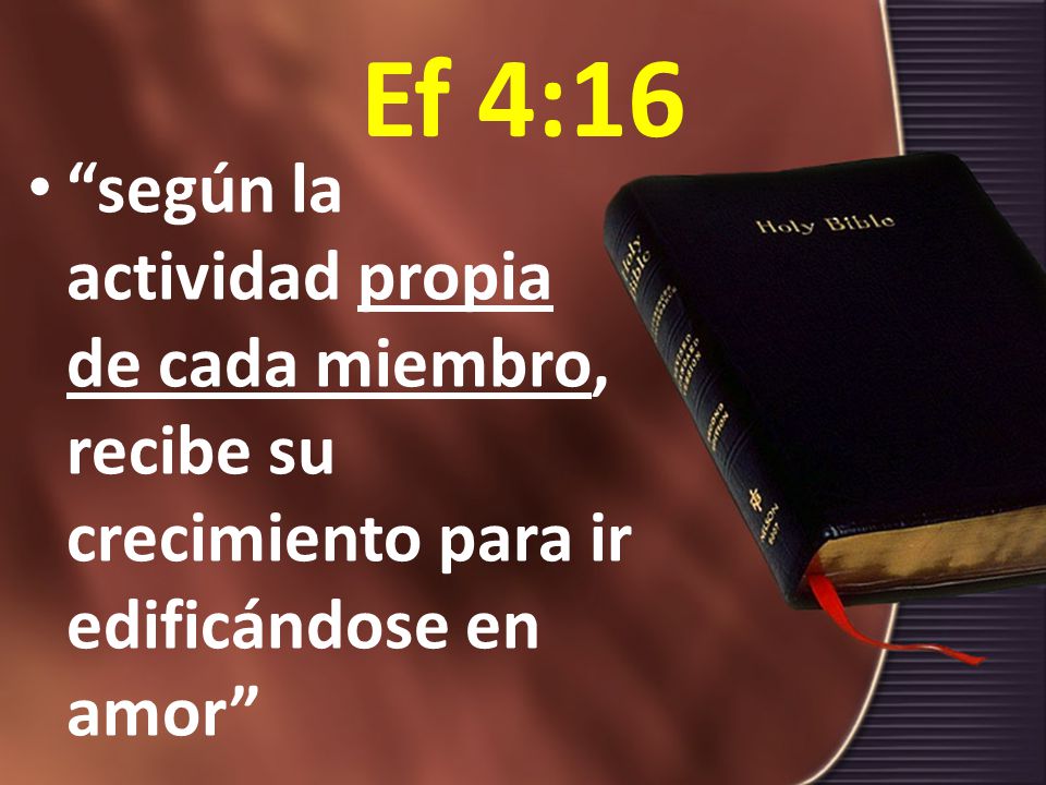 Ef 4:16 según la actividad propia de cada miembro, recibe su crecimiento para ir edificándose en amor