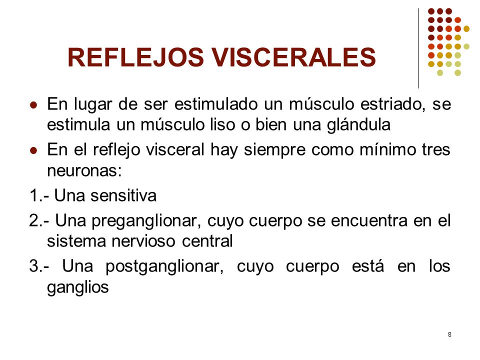 REFLEJOS VISCERALES En lugar de ser estimulado un músculo estriado, se estimula un músculo liso o bien una glándula.