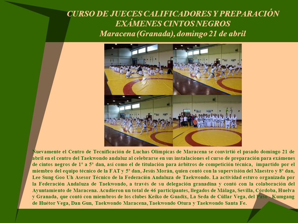 CURSO DE JUECES CALIFICADORES Y PREPARACIÓN EXÁMENES CINTOS NEGROS Maracena (Granada), domingo 21 de abril