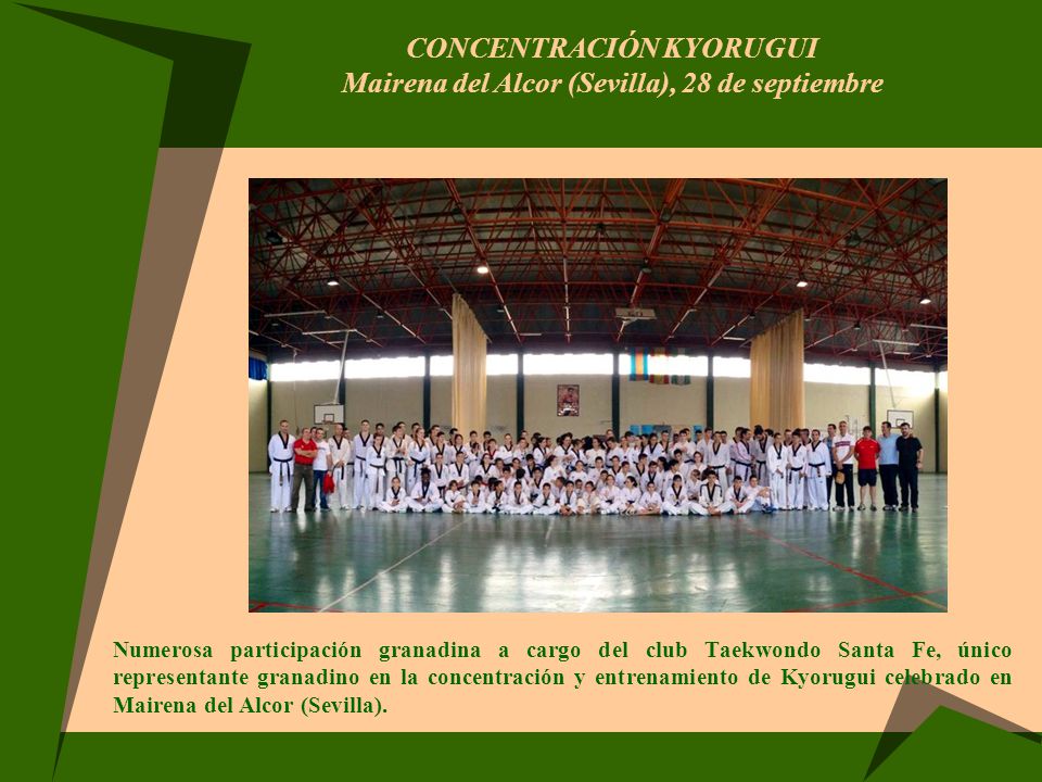 CONCENTRACIÓN KYORUGUI Mairena del Alcor (Sevilla), 28 de septiembre