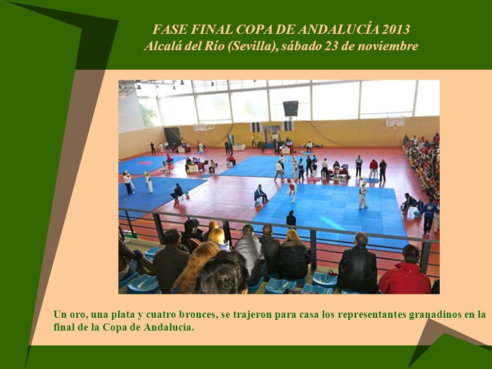 FASE FINAL COPA DE ANDALUCÍA 2013 Alcalá del Río (Sevilla), sábado 23 de noviembre