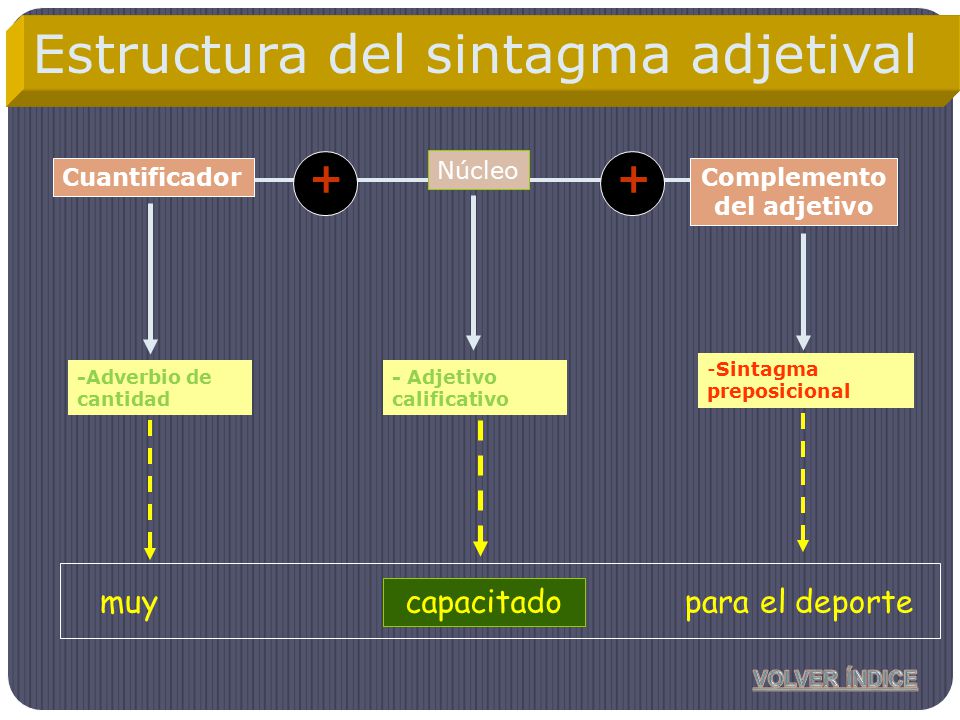Estructura del sintagma adjetival