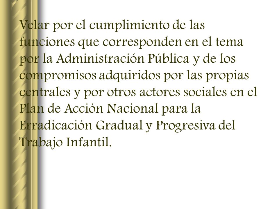 Velar por el cumplimiento de las funciones que corresponden en el tema por la Administración Pública y de los compromisos adquiridos por las propias centrales y por otros actores sociales en el Plan de Acción Nacional para la Erradicación Gradual y Progresiva del Trabajo Infantil.