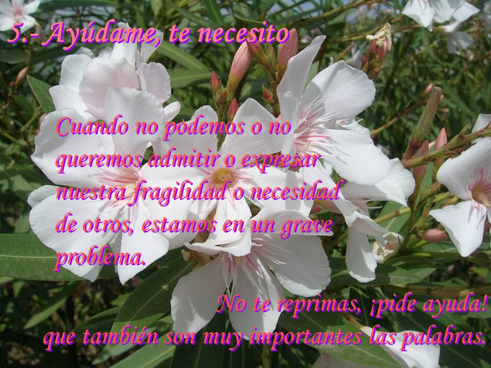 5.- Ayúdame, te necesito Cuando no podemos o no queremos admitir o expresar nuestra fragilidad o necesidad de otros, estamos en un grave problema.