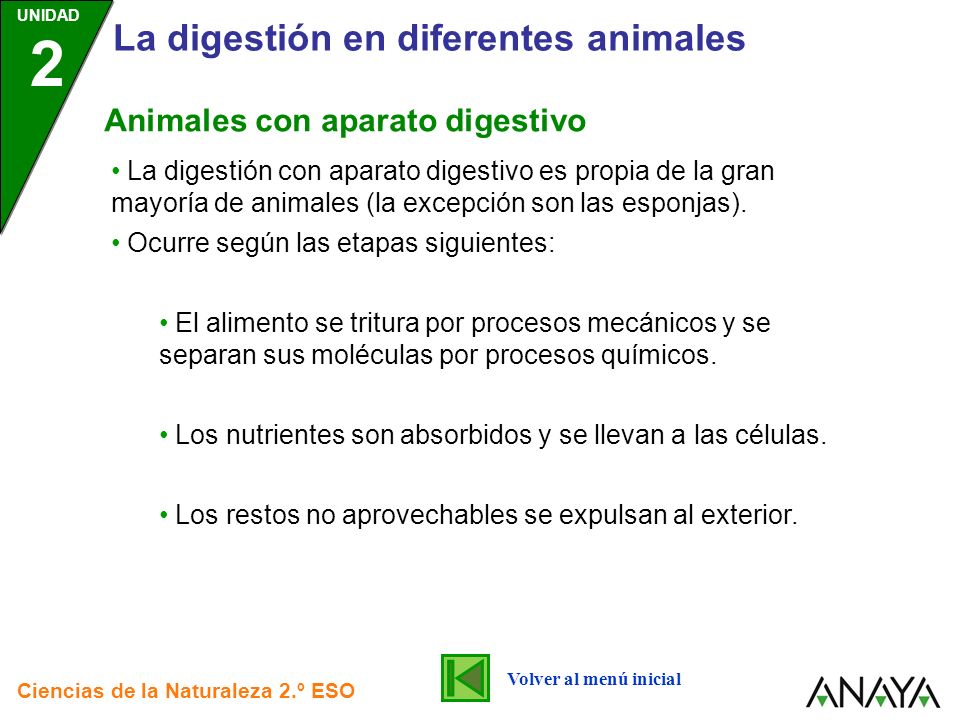 La digestión en diferentes animales