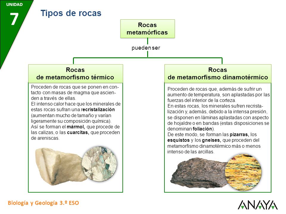 Rocas de metamorfismo térmico Rocas de metamorfismo dinamotérmico
