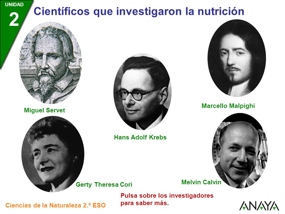 Científicos que investigaron la nutrición