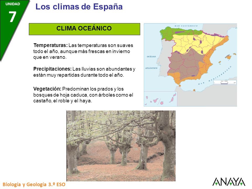 Los climas de España CLIMA OCEÁNICO Biología y Geología 3.º ESO