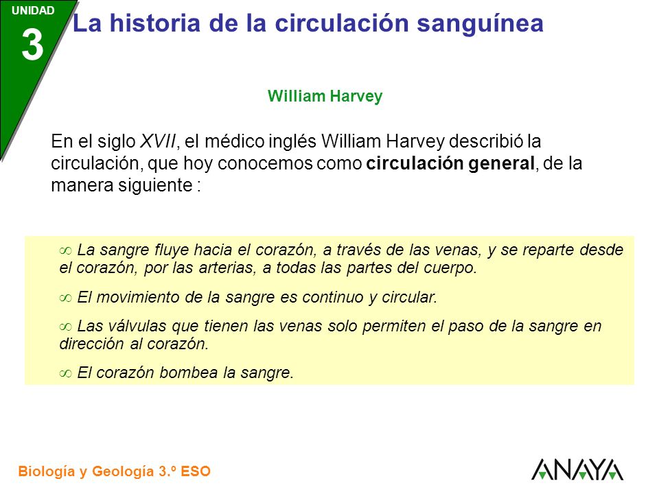  El movimiento de la sangre es continuo y circular.