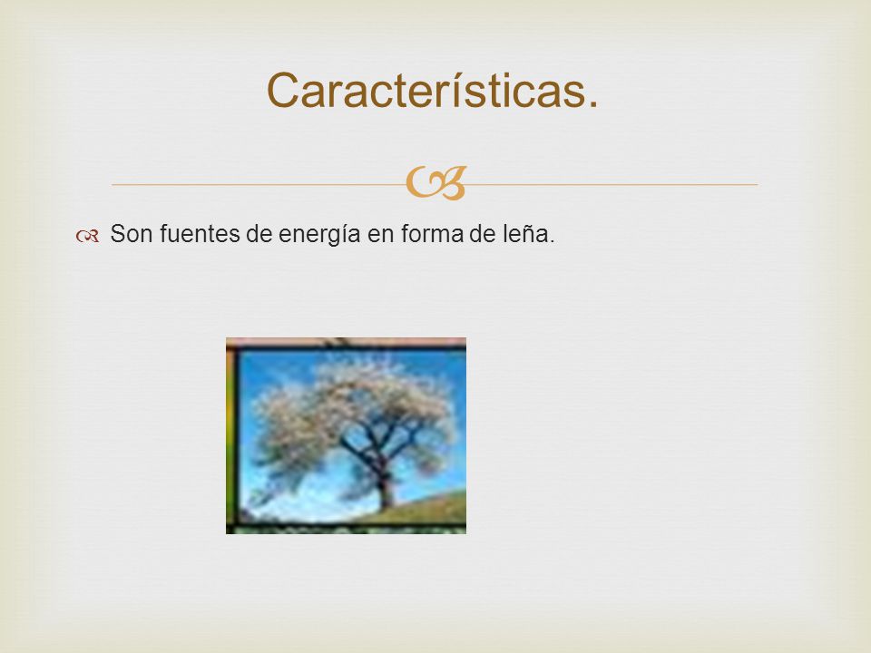 Características. Son fuentes de energía en forma de leña.