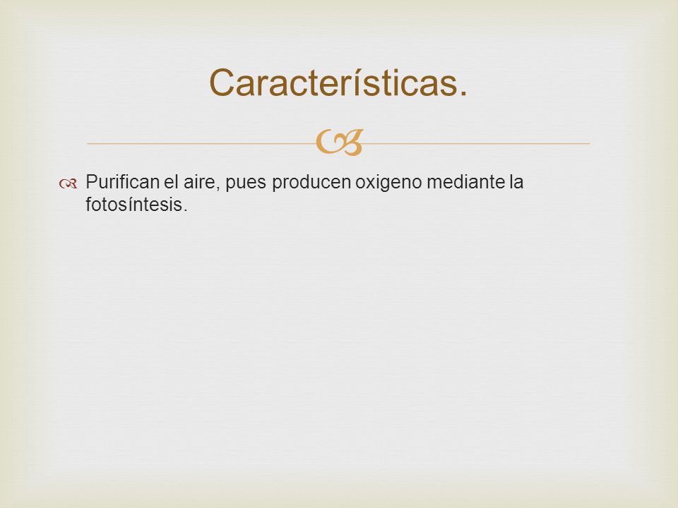 Características. Purifican el aire, pues producen oxigeno mediante la fotosíntesis.