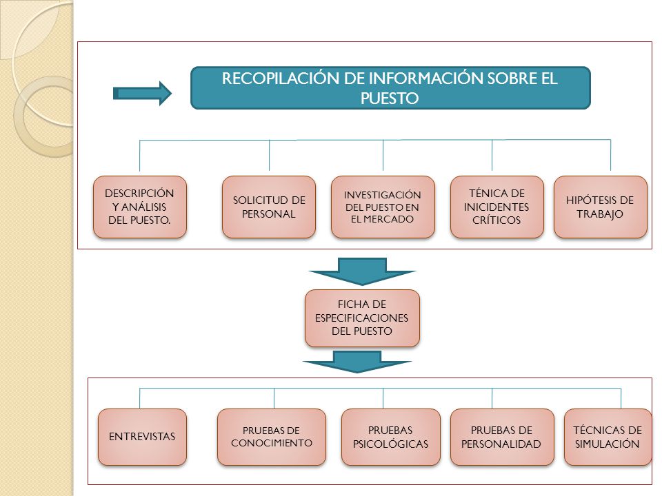 RECOPILACIÓN DE INFORMACIÓN SOBRE EL PUESTO