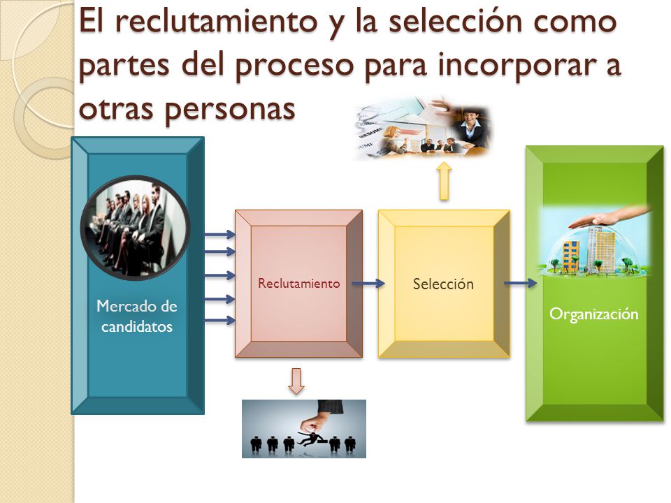 El reclutamiento y la selección como partes del proceso para incorporar a otras personas
