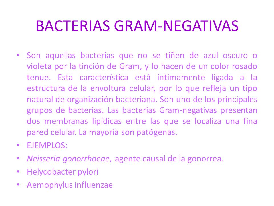 BACTERIAS GRAM-NEGATIVAS