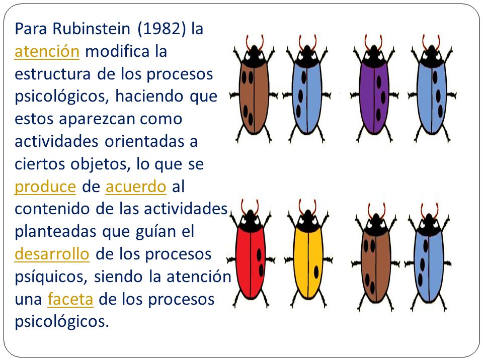 Para Rubinstein (1982) la atención modifica la estructura de los procesos psicológicos, haciendo que estos aparezcan como actividades orientadas a ciertos objetos, lo que se produce de acuerdo al contenido de las actividades planteadas que guían el desarrollo de los procesos psíquicos, siendo la atención una faceta de los procesos psicológicos.