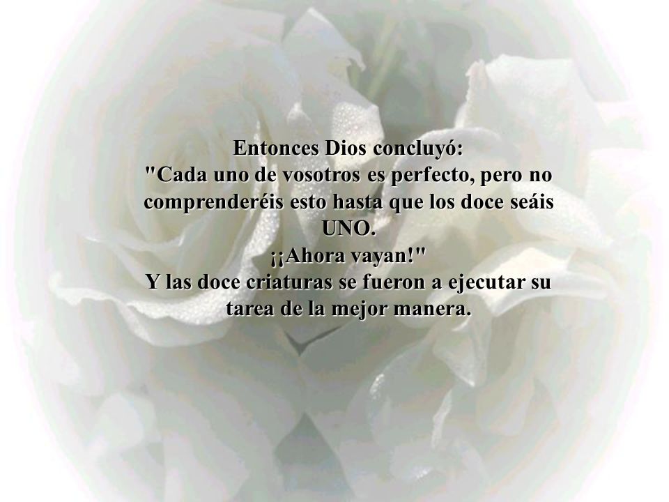 Entonces Dios concluyó: Cada uno de vosotros es perfecto, pero no comprenderéis esto hasta que los doce seáis UNO.