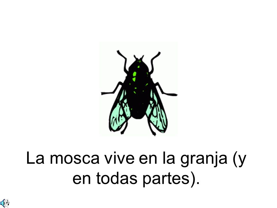 La mosca vive en la granja (y en todas partes).