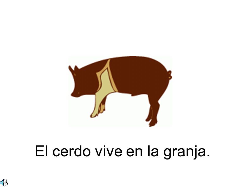 El cerdo vive en la granja.