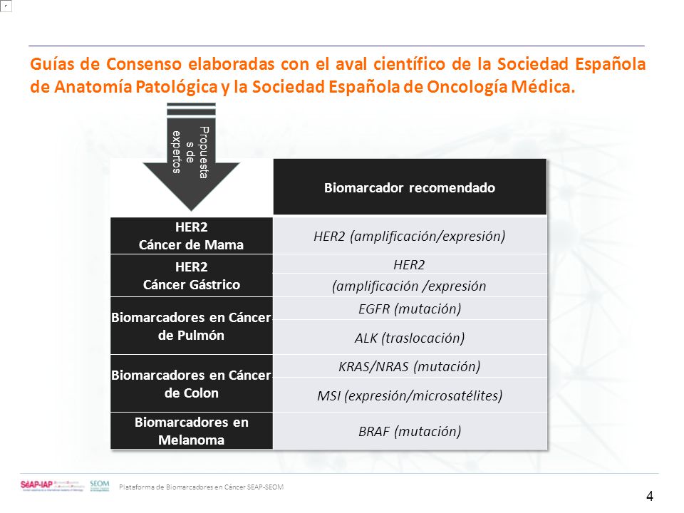 Guías de Consenso elaboradas con el aval científico de la Sociedad Española de Anatomía Patológica y la Sociedad Española de Oncología Médica.