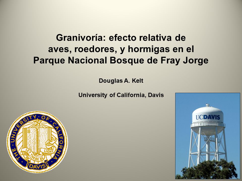 Granivoría: efecto relativa de aves, roedores, y hormigas en el