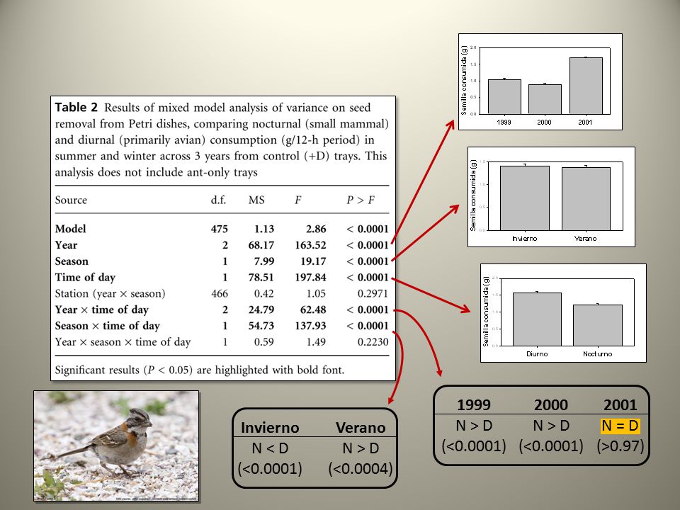1999 N > D. (<0.0001) N > D. (<0.0001) N = D. (>0.97) Invierno. N < D. (<0.0001)